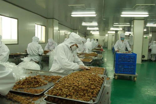 太和農產品加工產業園入選省行動計劃，聚焦食用農產品初加工高質量發展