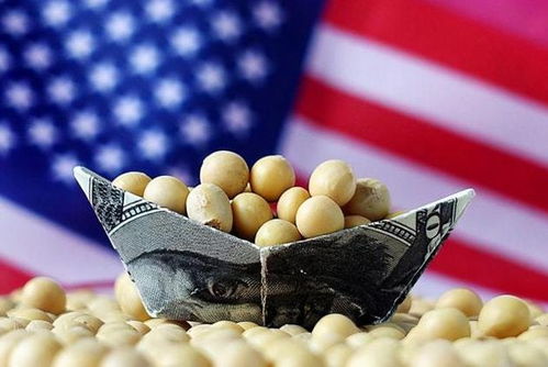 供應鏈危機下的美國校園餐桌 新冠疫情如何加劇學生“吃飯難”問題