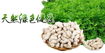 區(qū)塊鏈溯源 揭開(kāi)有機(jī)農(nóng)產(chǎn)品的偽裝術(shù)，重塑食用農(nóng)產(chǎn)品批發(fā)新生態(tài)