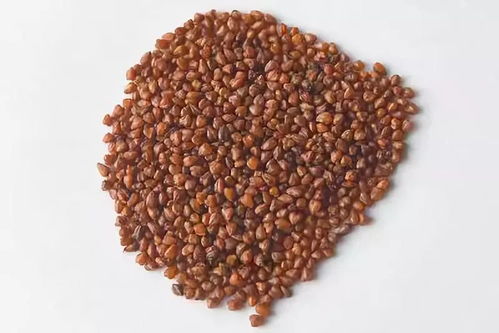 海外熱銷，泰州三農(nóng)產(chǎn)品基地榮膺省級(jí)示范，這些特產(chǎn)你嘗過(guò)嗎？