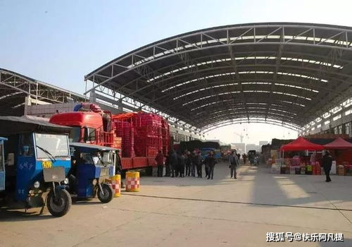 農(nóng)產(chǎn)品批發(fā)行業(yè)數(shù)字化經(jīng)營(yíng)之路 食用農(nóng)產(chǎn)品初加工的轉(zhuǎn)型與挑戰(zhàn)