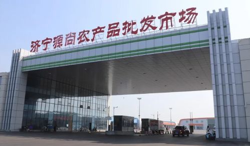 濟寧源尚農產品批發市場 打造農業產業集群特色品牌，助力鄉村振興的食用農產品樞紐